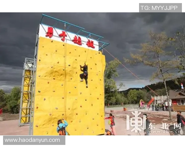 梦中与足球明星同场竞技体验激情与荣耀的奇妙旅程