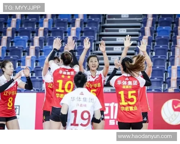 杭州排球队实力分析与赛季表现评估的深度解读