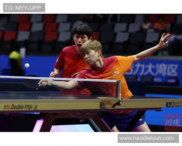 杨丽独家分享乒乓球技巧与心得体会助你提升球技的秘密武器