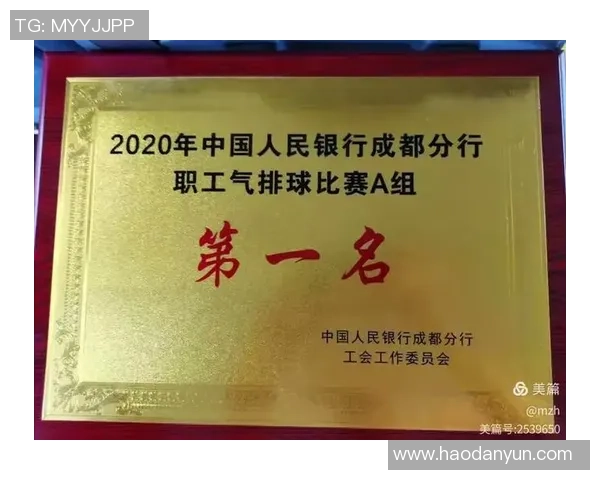 排球心理素质评比出炉成都排球队荣登第七位引发关注 排球心理素质评比出炉成都排球队荣登第七位引发关注