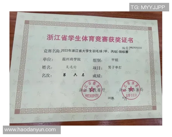 深圳羽毛球队与南京羽毛球队赛后状态分析与复盘总结 深圳羽毛球队与南京羽毛球队赛后状态分析与复盘总结