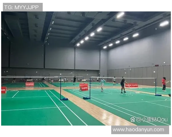 重庆与深圳羽毛球队赛后心理素质分析及其对比赛结果的影响探讨